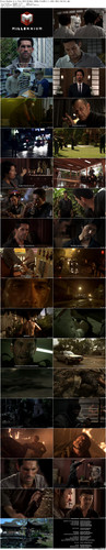 Ninja.Shadow.of.a.Tear.2013.BluRay.1080p.TrueHD.5.1.x265.10bit BeiTai preview.jpg