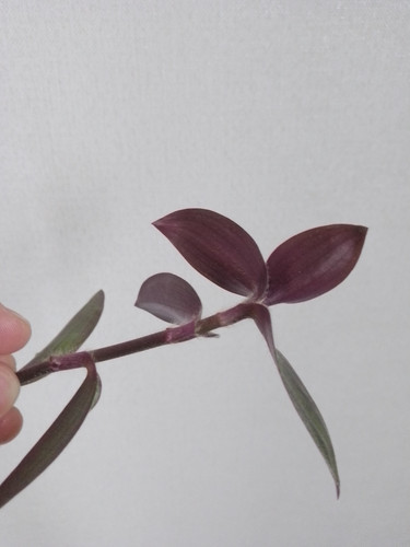 IMG 20220916 170047.jpg