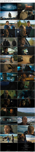 Bullet.Proof.2022.BluRay.1080p.DTS HD.MA5.1.x265.10bit BeiTai preview.jpg