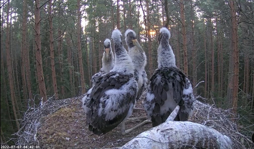 rsz screenshot 20220707 062710.jpg