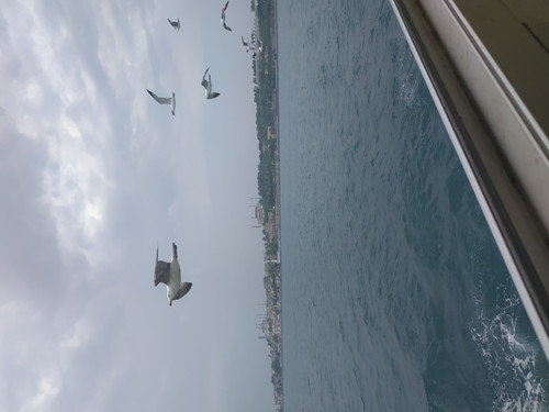 IMG 20190518 134222.jpg