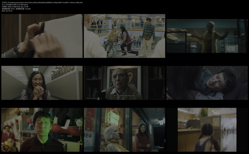 Everything.Everywhere.All.at.Once.2022.UHD.BluRay.REMUX.2160p.HEVC.TrueHD7.1.Atmos HDS.mkv.png