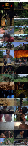 Heroes.Shed.No.Tears.1986.BluRay.1080p.2Audio.TrueHD.5.1.x265.10bit BeiTai preview.jpg