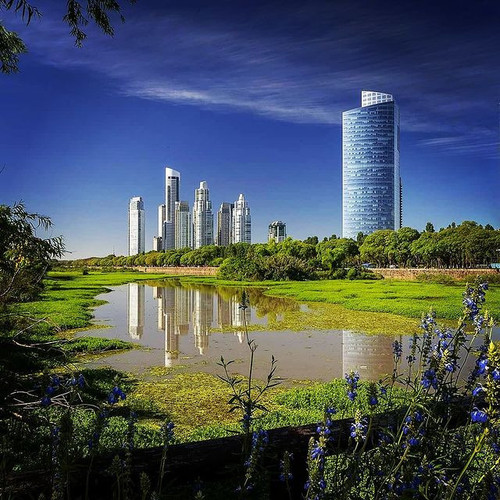 254513967 429339942197055 5955352894505126969 n.jpg