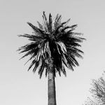 279680158 405369901410744 2130809054119197062 n.jpg