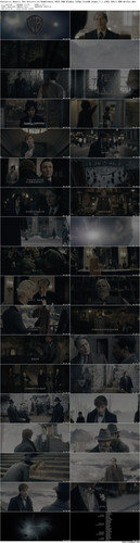 Fantastic.Beasts.The.Secrets.of.Dumbledore.2022.UHD.BluRay.2160p.TrueHD.Atmos.7.1.x265.10bit.HDR Bei.jpg