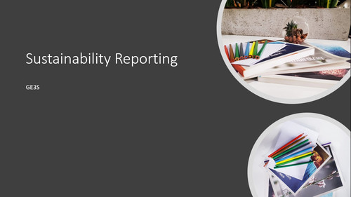 Sustainability Reporting Consultant.jpg