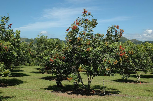 IMG 20220627 210001.jpg