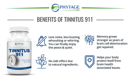 PhytAge Laboratories
1732 1st Avenue #28568
New York, NY 10128
(800) 822-5753

https://tinnitus911.com/