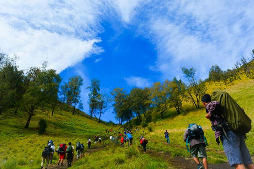 IMG 20220628 092437.jpg