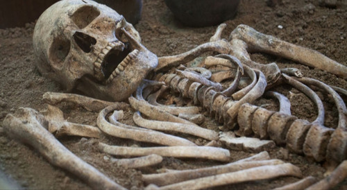 IMG 20220628 080347.jpg