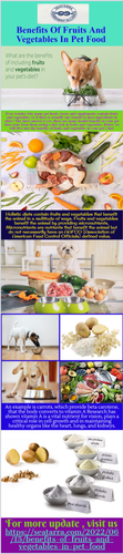 Benefits Of Fruits And Vegetables In Pet Food.png