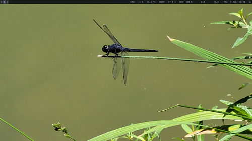 2022 07 07 04 30 04.png