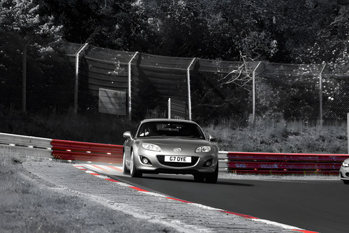 racetracker 16807987 255020.jpg