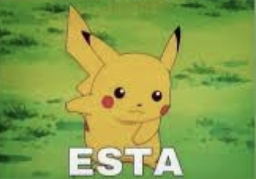 D2C6AA28 6559 4786 938A 8B8750B1C026.jpg