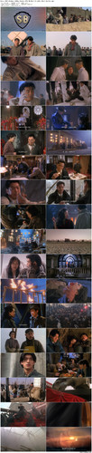 Hero.1997.BluRay.1080p.2Audio.DTS HD.MA.2.0.x265.10bit BeiTai preview.jpg