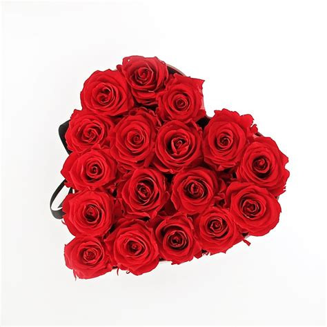 IMG b811a9db0a283916246aa7933667178b V.jpg