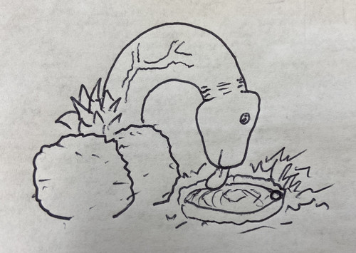 BDD67E4E CAA7 4BB7 9A60 B03642CD192A.jpg