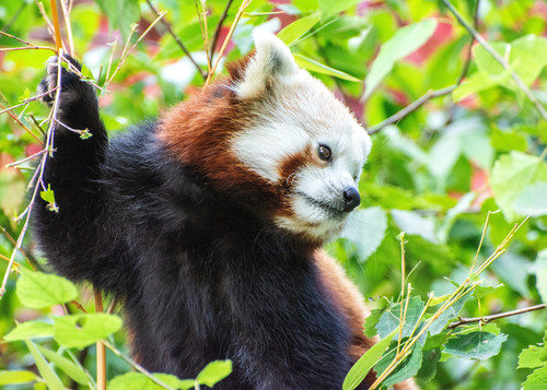 pexels david atkins 9721961.jpg