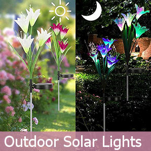 Outdoor Solar Lights.jpg