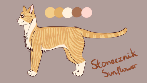 41372126 At2NwOwzcPGmrp5