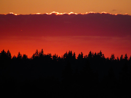 AF4A38C5 B027 4EE1 A385 B5E9AC42A0D7.jpg