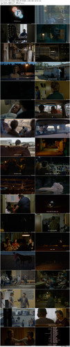 Lean.on.Pete.2017.BluRay.1080p.DTS HD.MA5.1.x265.10bit BeiTai preview.jpg