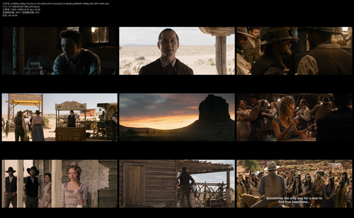 A.Million.Ways.To.Die.In.The.West.2014.Unrated.Cut.BluRay.REMUX.1080p.AVC.DTS HDS.mkv.png