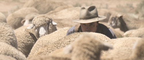 A.Million.Ways.To.Die.In.The.West.2014.Unrated.Cut.BluRay.Pad.1080p.AAC.x265 10bit HDSPad.mp4 202207.png