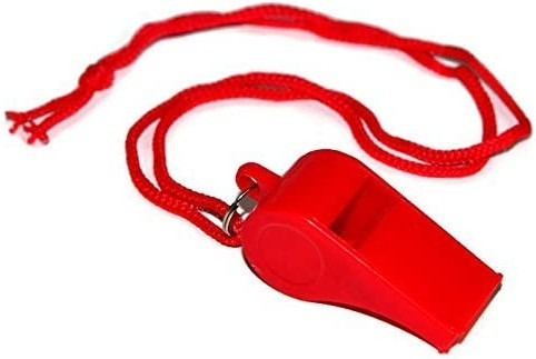 41lsLS+hHGL. AC .jpg