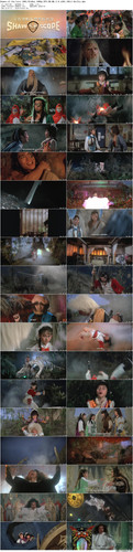 Demon.of.the.Lute.1983.BluRay.1080p.DTS HD.MA.2.0.x265.10bit BeiTai preview.jpg