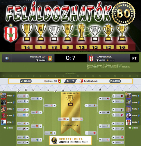 Nemzeti Kupa 80.Szezon Döntő (80.Kupa).jpg