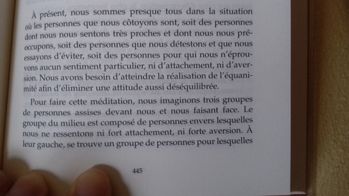 equanimite1.jpg