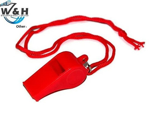 41lsLS+hHGL. AC .jpg