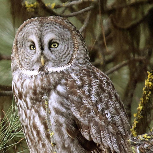 IMG 20220723 210316 818.jpg