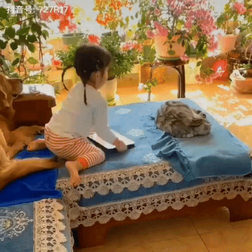 ezgif 3 920aa1c5a7.gif