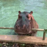 ezgif.com gif maker.out.20220126 070746.gif