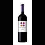Selection ChileMalbec