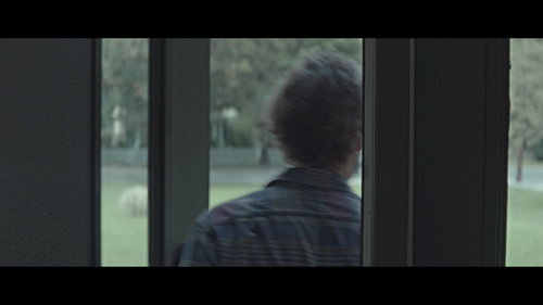 Breathe.In.2013.BluRay.REMUX.1080p.x264.DTS HD.MA5.1 HDS.mkv 20221103 213735.288.png