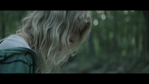 Breathe.In.2013.BluRay.REMUX.1080p.x264.DTS HD.MA5.1 HDS.mkv 20221103 213741.081.png