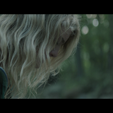 Breathe.In.2013.BluRay.REMUX.1080p.x264.DTS HD.MA5.1 HDS.mkv 20221103 213741.081