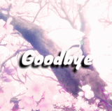 goodbye sakura.gif