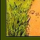 Rupert Bear 1 5