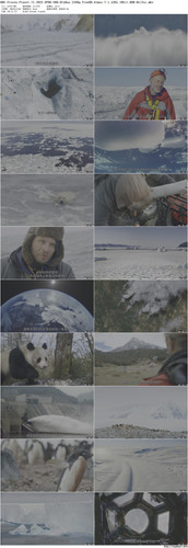 BBC.Frozen.Planet.II.2022.EP06.UHD.BluRay.2160p.TrueHD.Atmos.7.1.x265.10bit.HDR BeiTai preview.jpg