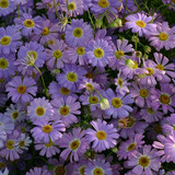 img002938.jpg