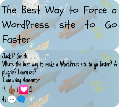 co 00258 the best way to force a wordpress site to go faster.png