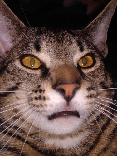 CC0F300C DB5A 476A 8773 DBD252D34801.jpg