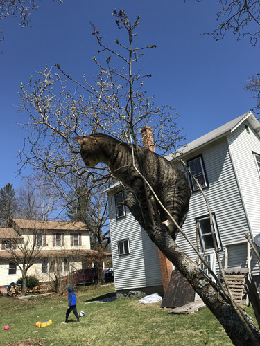 8B6AC27B C8C1 41D0 8569 682C1B13AE95.jpg