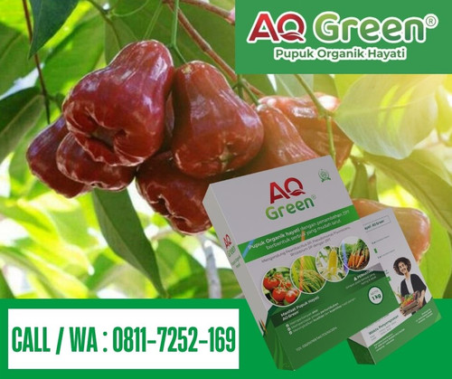 CEPAT SUBUR, Call WA 0811 7252 169 Pabrik pupuk organik dicampur urea di Lampung Timur.jpg