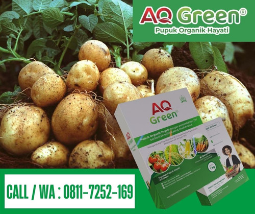 CEPAT PANEN, Call WA 0811 7252 169 Jual pupuk organik dan pupuk hayati di Lampung Timur.jpg